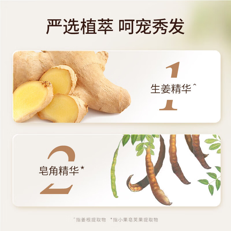 蜂花生姜健发洗发露植物滋养去屑控油蓬松无硅油改善头发干枯洗发水 蜂花植物去屑洗发露 600ml*1瓶