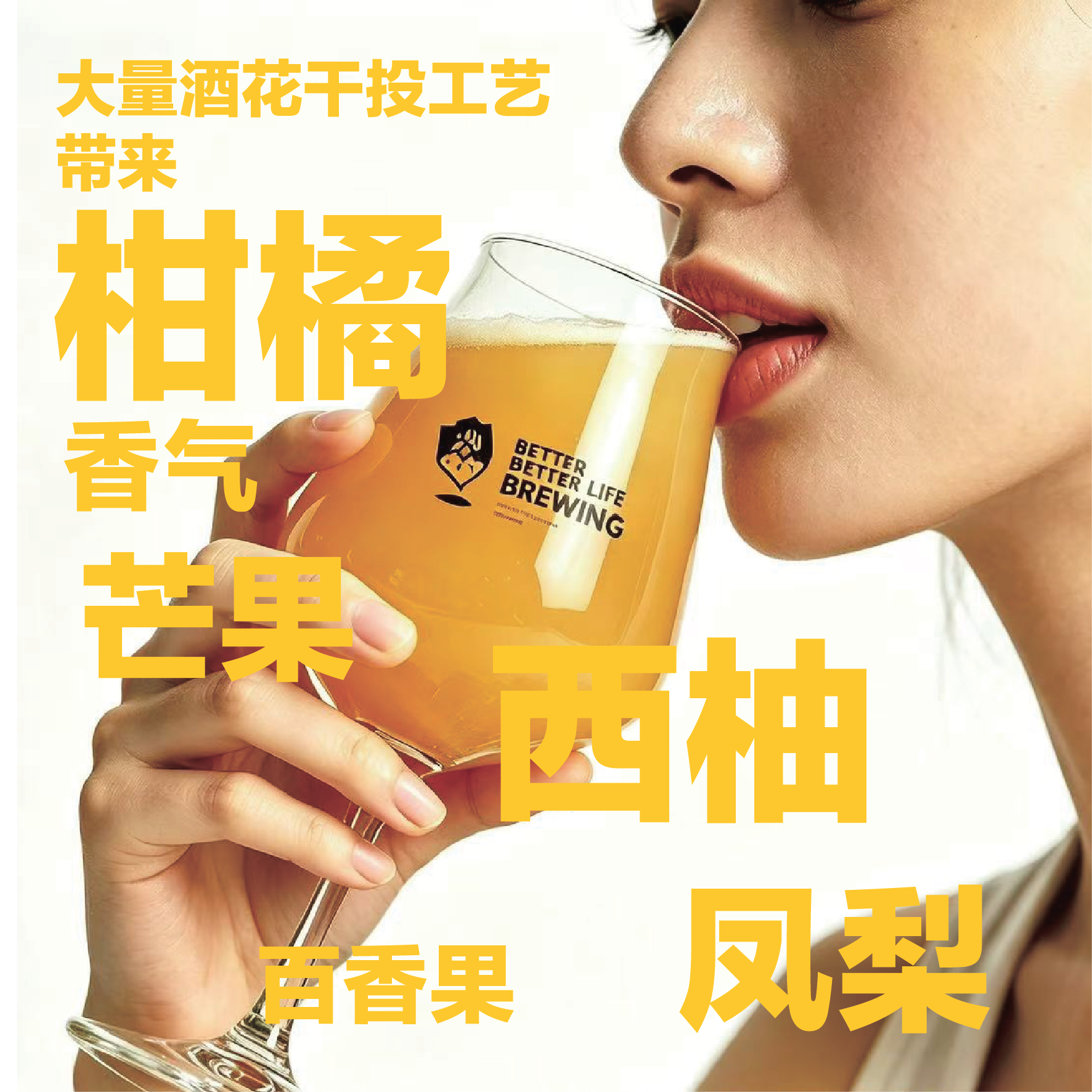 嘉啤【9.16日灌装顺丰送货上门】云雾之都浑浊IPA原麦15度酒精5.5%vol 云雾之都浑浊IPA啤酒 500mL 12罐 (11元每罐)