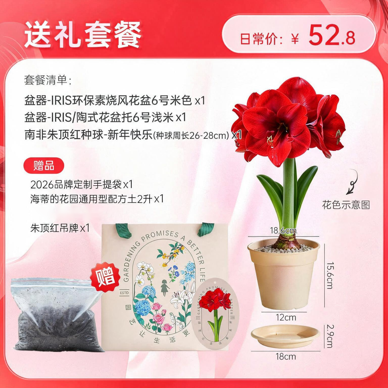 海蒂的花园旗舰店南非朱顶红进口重瓣种球室内阳台球根花卉植物保证对版种球 新年快乐送礼套餐【送人礼物】 12+