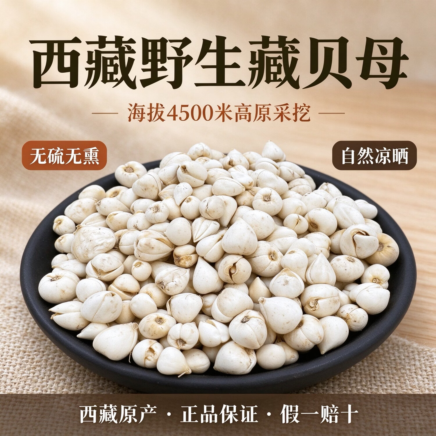 西藏特产野生藏贝母西藏林芝超川贝松贝母中药材50克新货批发 藏贝母打粉500克 500g*1瓶