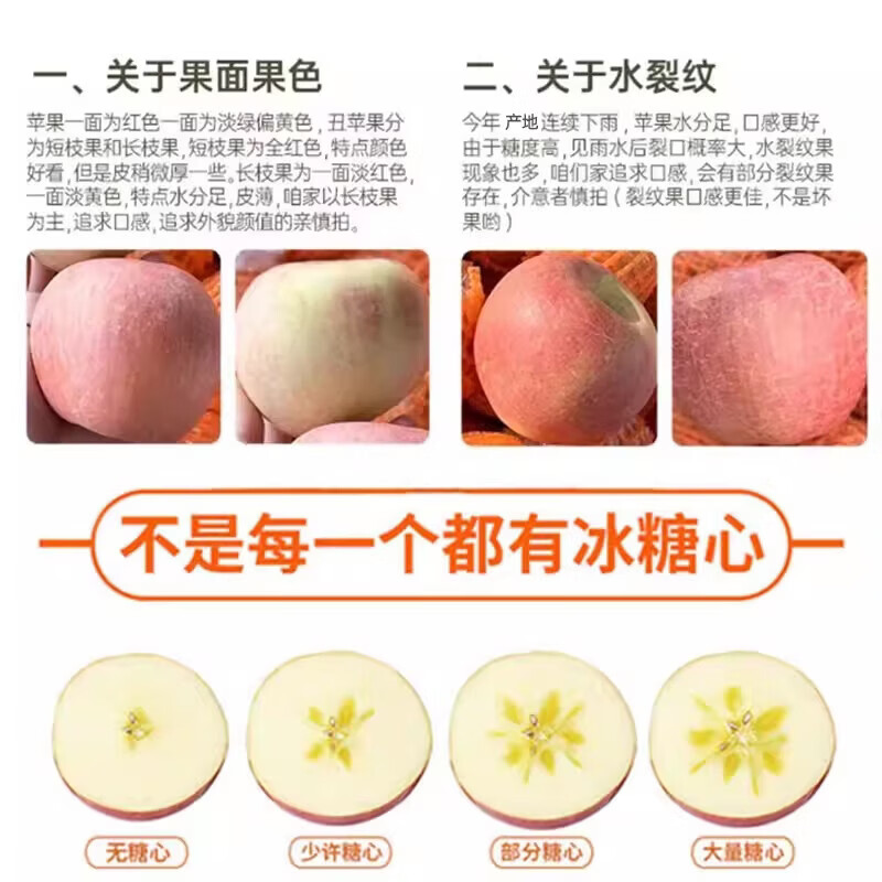 东鲜丰陕西红富士苹果新鲜膜袋苹果现摘现发水果整箱 红富士苹果净重4.5斤【单果70-80mm】