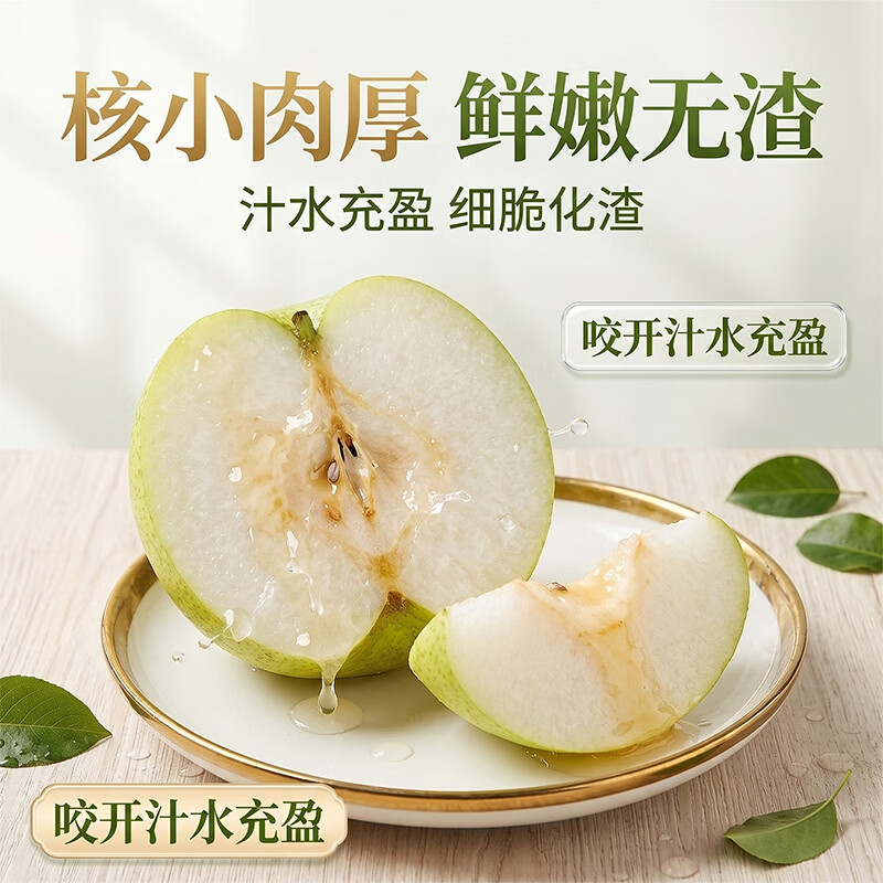 玉芬宁陵酥梨 新鲜应季水果大果脆甜多汁 当季生鲜水果 中秋送礼 净重4.5斤【单果300g+】