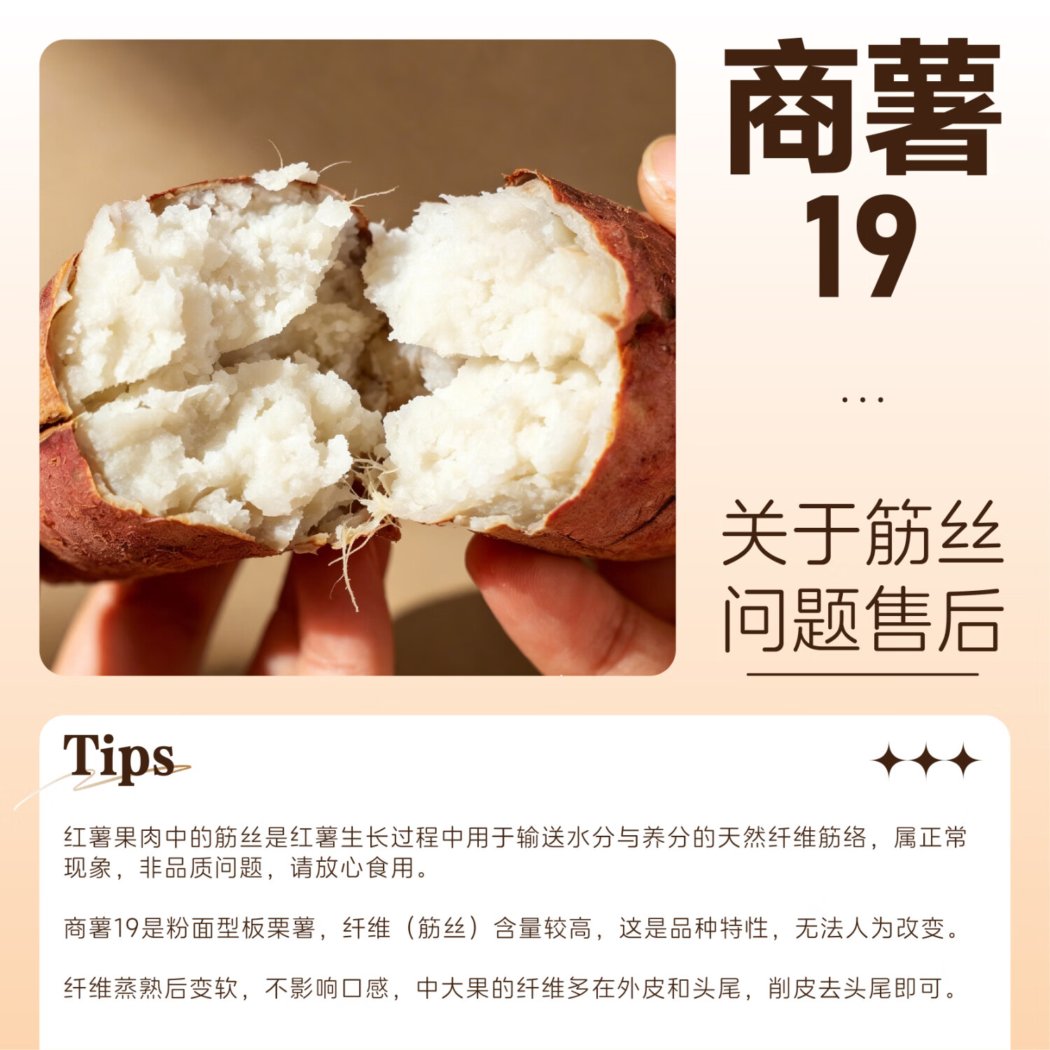 豫西臻选【绿色食品】牛奶白心板栗薯蜜薯 红薯地瓜烟薯番薯哈密白蔬菜 中果精选5斤(3-8两)