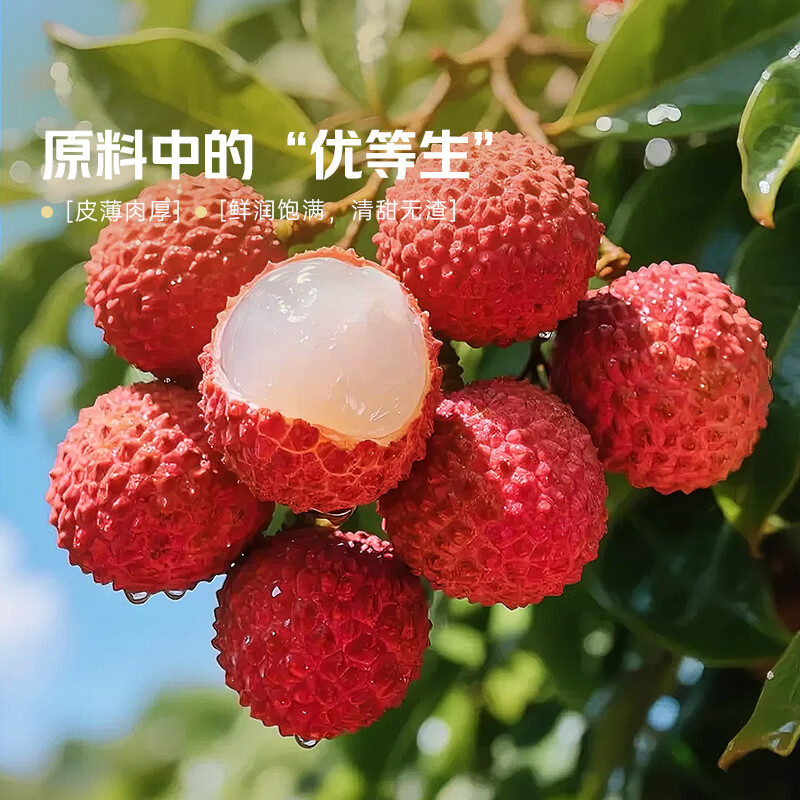 蜂解樱花荔枝蜂蜜水 360g*6瓶整箱装  果蔬汁饮料饮品中秋送礼 【樱花荔枝蜂蜜水】360g*6瓶/箱
