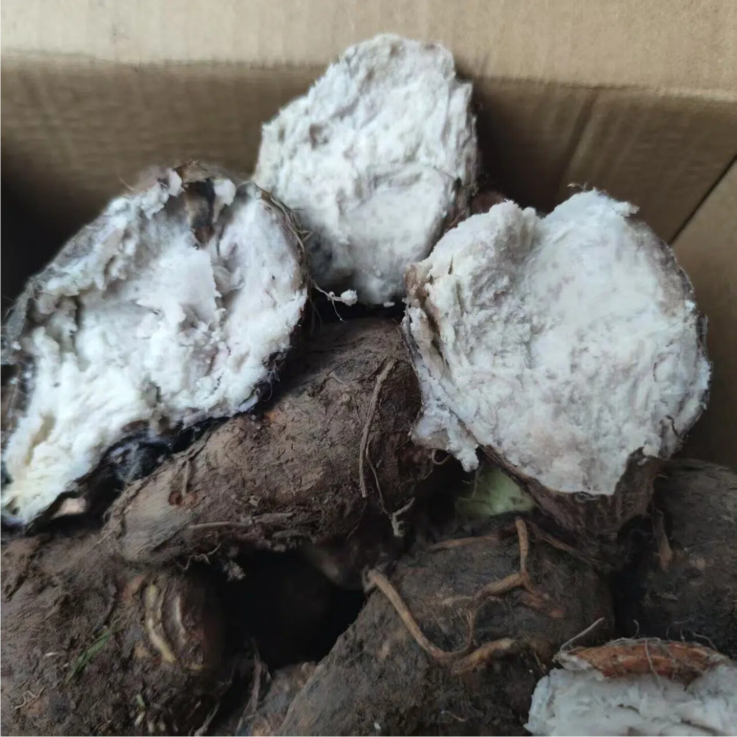广西荔浦芋头仔小芋头芋艿槟榔芋仔产地直发 单果60-250克 帯箱8.87-9.32斤