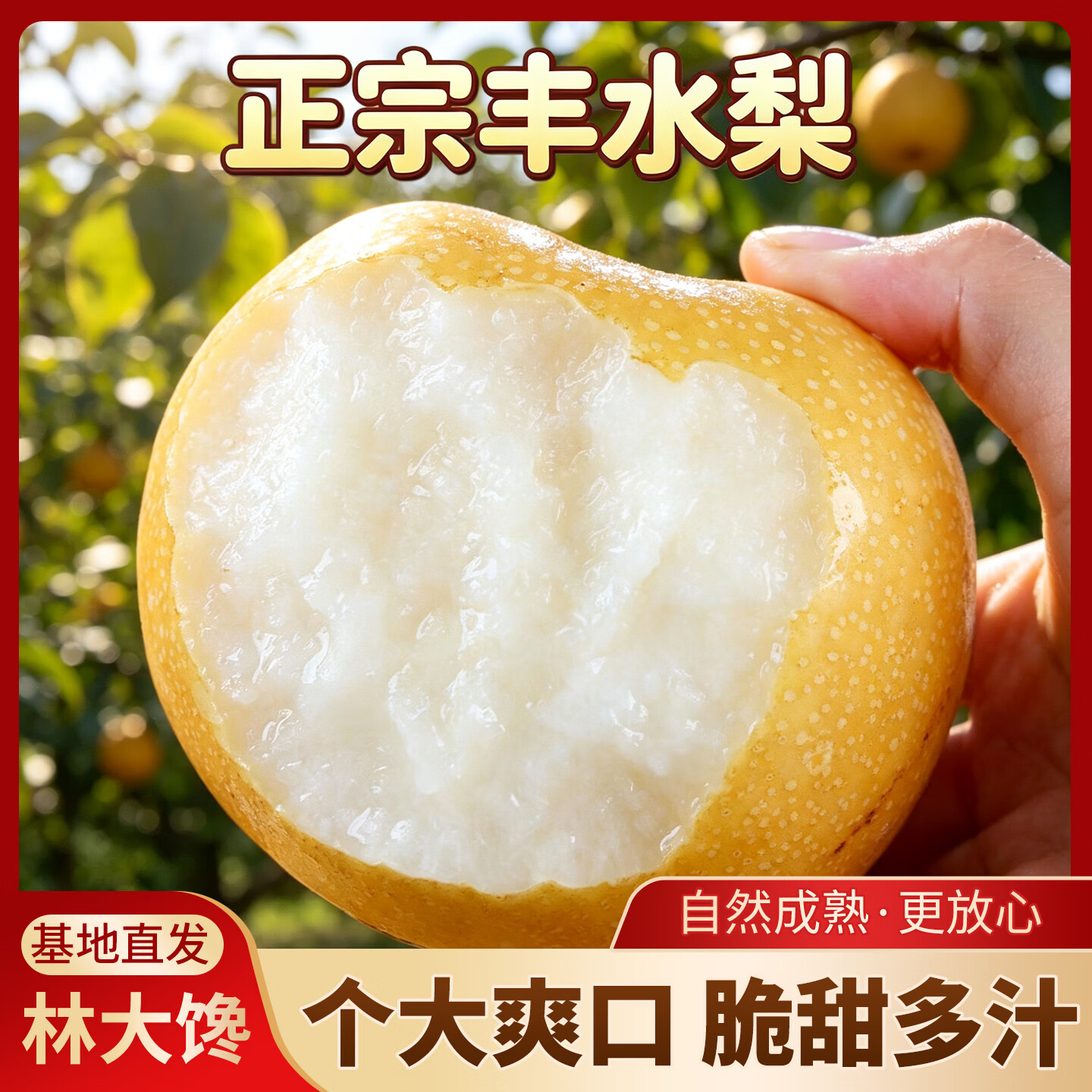 林大馋正宗山东聊城冠县丰水梨 冰糖脆甜梨子新鲜水果薄皮多汁 产地直发 净4.5斤精品果 单果250g+【商超品质 吃了必复购】】
