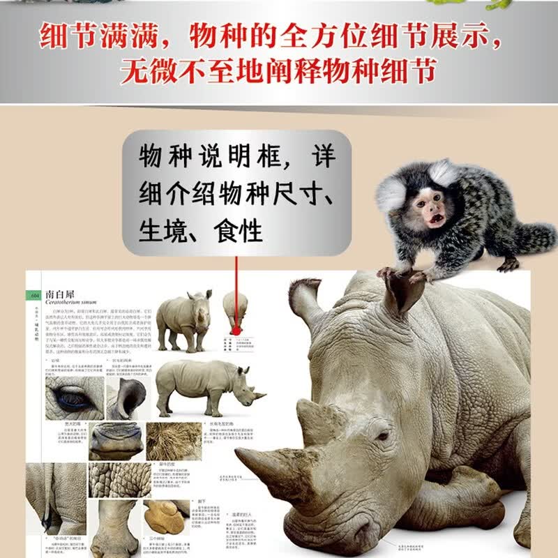 图 6