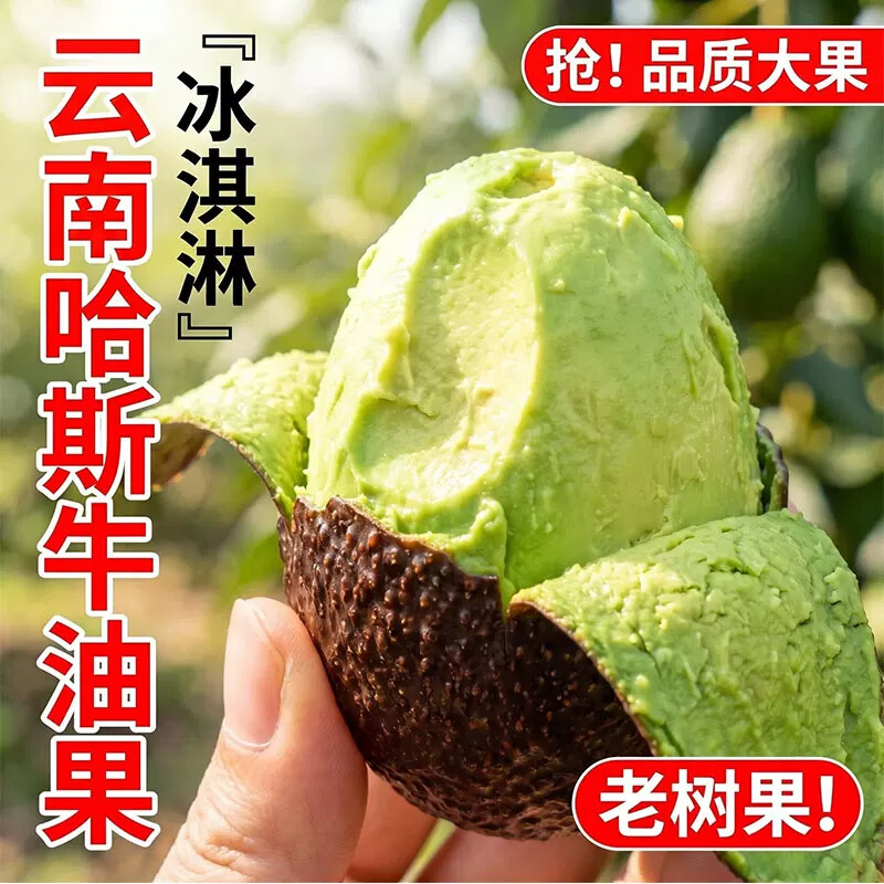 南阙【国产包熟无坏果】云南哈斯牛油果新鲜现摘水果应季孕妇宝宝辅食 单果100g-130g 6个装