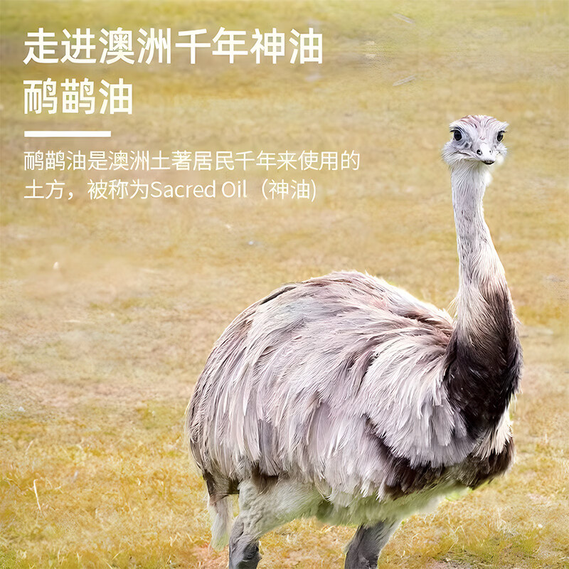 益岐澳洲鸸鹋膏鸵鸟油舒筋活络按摩发热舒缓肩颈椎腰腿关节按摩膏 鸸鹋油5瓶装