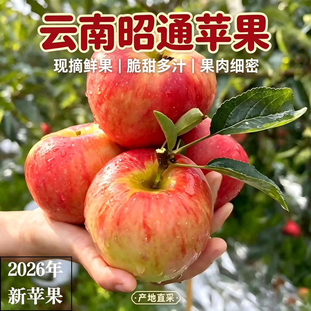 贡鲜果农昭通红富士丑苹果净4.5斤单果70-79mm 26.89元 - 86线报