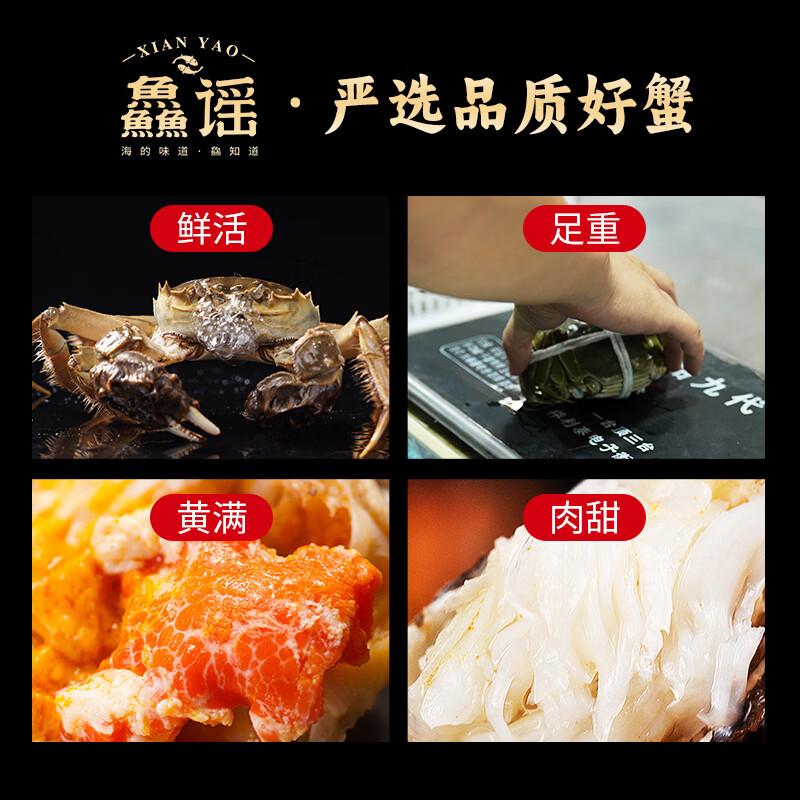【活蟹】鱻谣大闸蟹 鲜活螃蟹现货礼盒中秋送礼去绳足重足斤足两 全母蟹3.0-3.3两 8只
