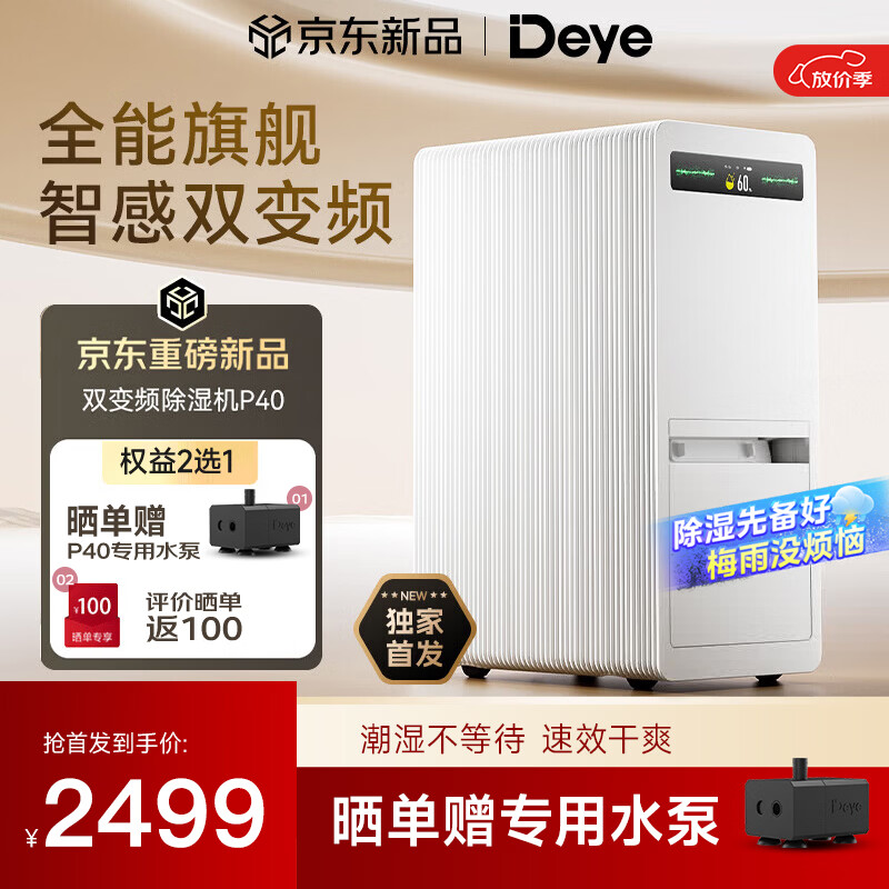 德业（Deye）双变频除湿机40升除湿量家用净化抽湿机卧室地下室客厅防潮除湿器干衣轻音等离子DYD-P40 40L/天 70-120㎡ DYD-P40