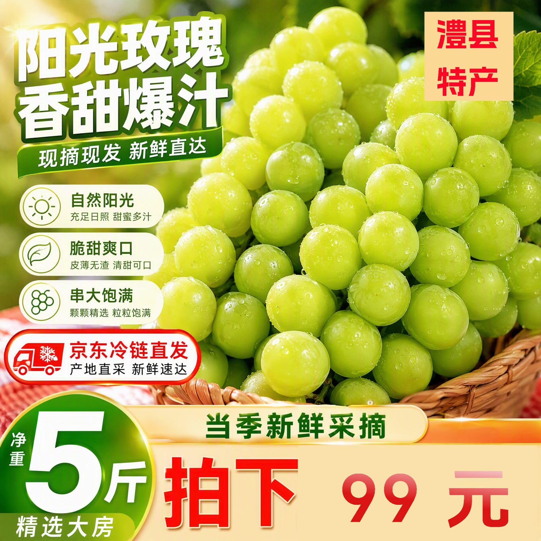 澧县出口特供阳光玫瑰葡萄新鲜香印提子有机水果孕妇当季生鲜礼盒 5斤冷链箱【精品串装】单果15g以上