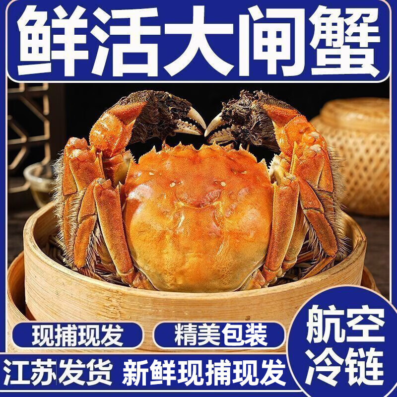 【活蟹】洪泽湖大闸蟹鲜活螃蟹母3.5-3.8公4.0-4.3两6对12只批发 全母【2.5-2.8两】10只