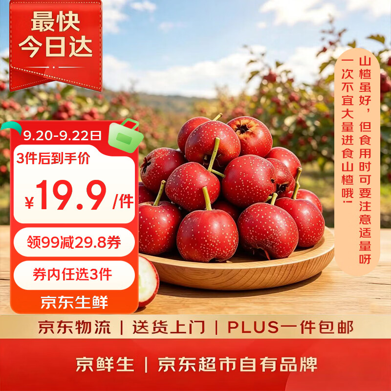 京鲜生 糖葫芦山楂 净重2.5斤 单果5g起 生鲜水果