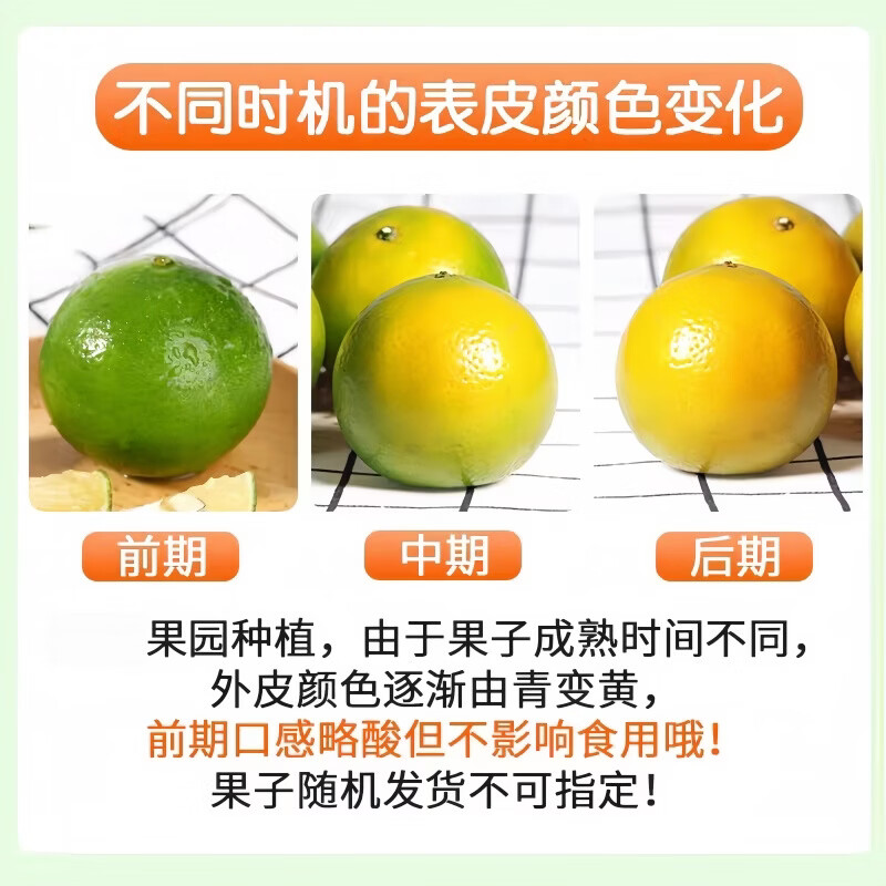 豔疅正宗广西皇帝柑新鲜当季水果大果青黄皮蜜桔柑橘橙子酸甜多汁生鲜 净重4.8-5斤【中果】约29-30个|单果55-60mm