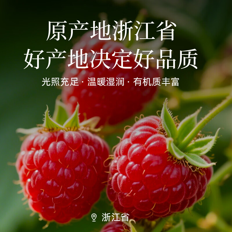 素养生活有机覆盆子110g 浙江武义覆盆子树莓干果 桑椹泡茶 茶饮 110g*1罐