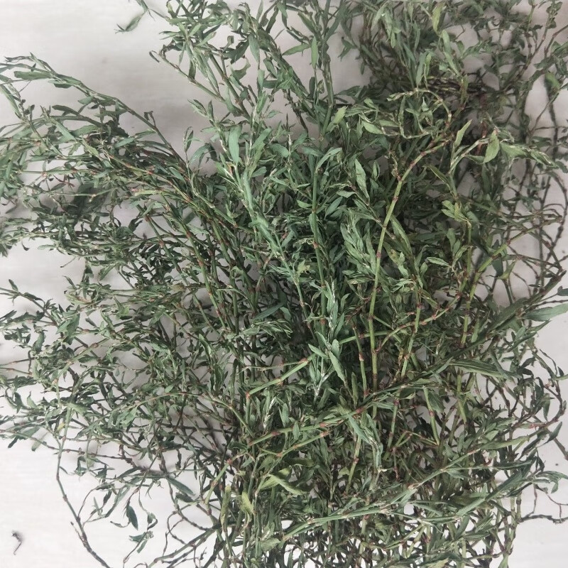 北京同仁堂  野生萹蓄猪牙草中药道生草中草药绿色新鲜晒干优选老偏方
