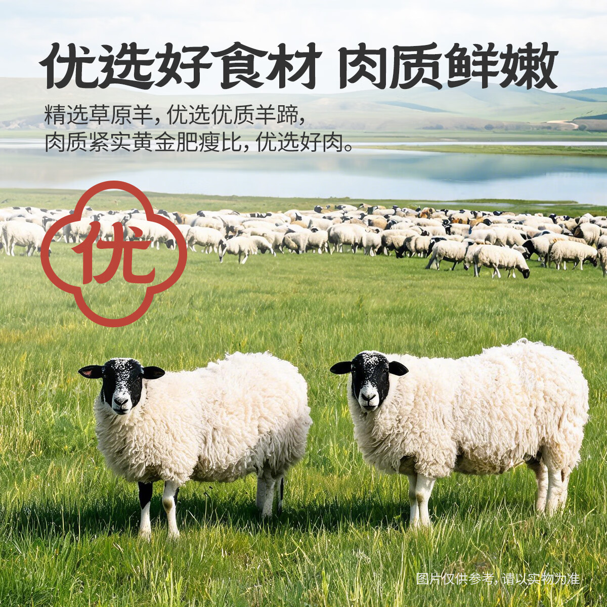 城一锅羊蹄清真熟食开袋即食五香水晶羊蹄带筋卤味下酒真空包装 【店长推荐】五香羊蹄1盒*400克
