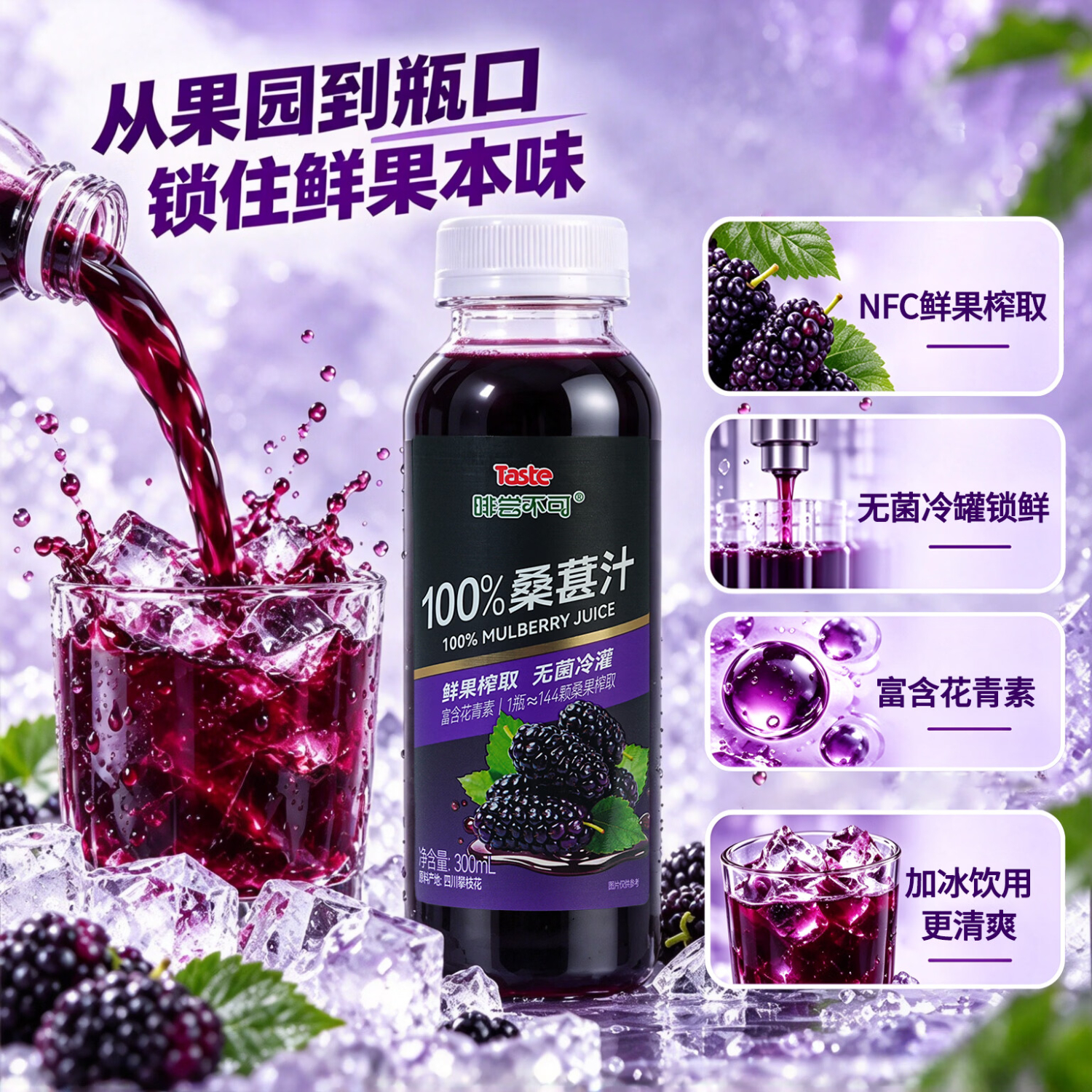 啡尝不可Taste100%桑葚汁鲜果榨取无添加 300ml*10瓶