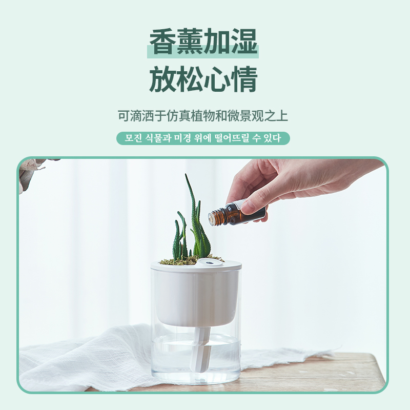大宇（DAEWOO）加湿器迷你办公室桌面补水空气加湿器香薰机家用卧室宿舍USB小生态增湿器DHM-S1