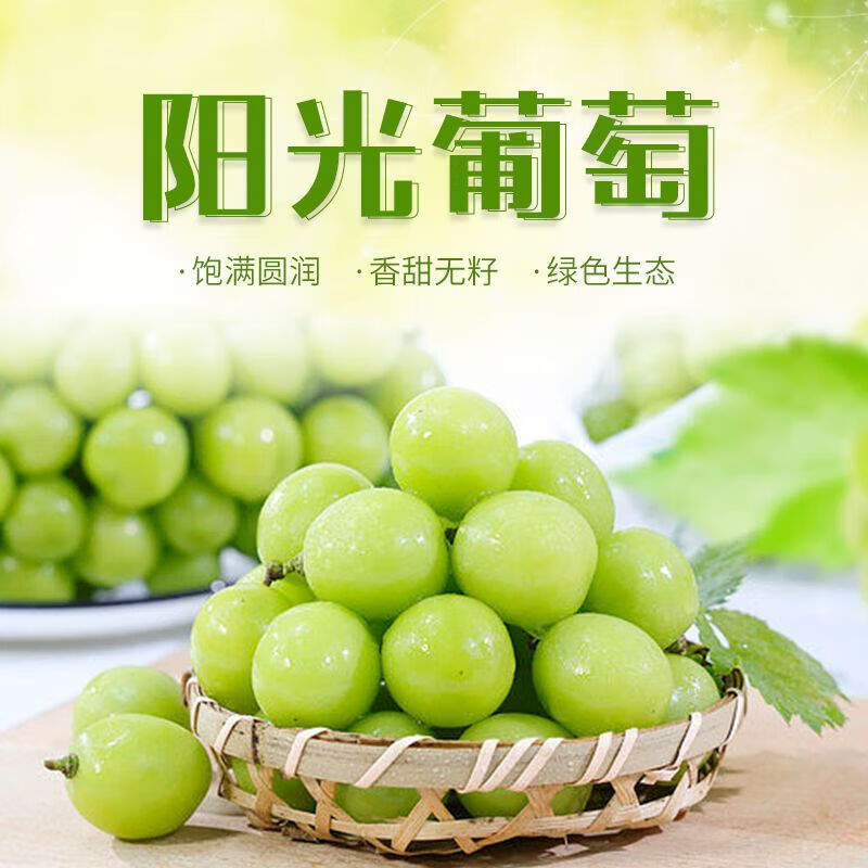 澧县出口特供阳光玫瑰葡萄新鲜香印提子有机水果孕妇当季生鲜礼盒 5斤冷链箱【精品串装】单果15g以上
