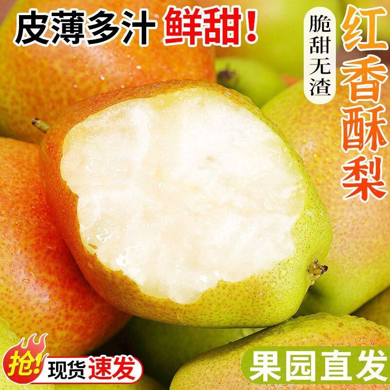 亨泰丰源小香梨 酥梨 新鲜梨子 应季当季水果皮薄汁水多现摘鲜发河北梨子 净重4.5斤小香梨脆梨