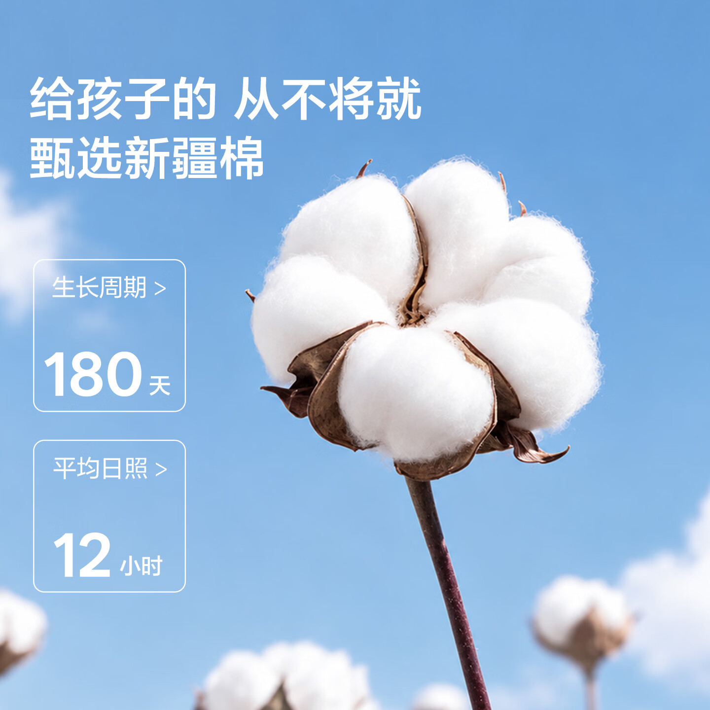 banner图片