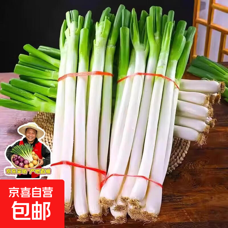 山东大葱新鲜甜葱铁杆大葱非章丘长白带皮毛葱蘸酱嫩葱批发便宜 带箱5斤净重4.5斤+