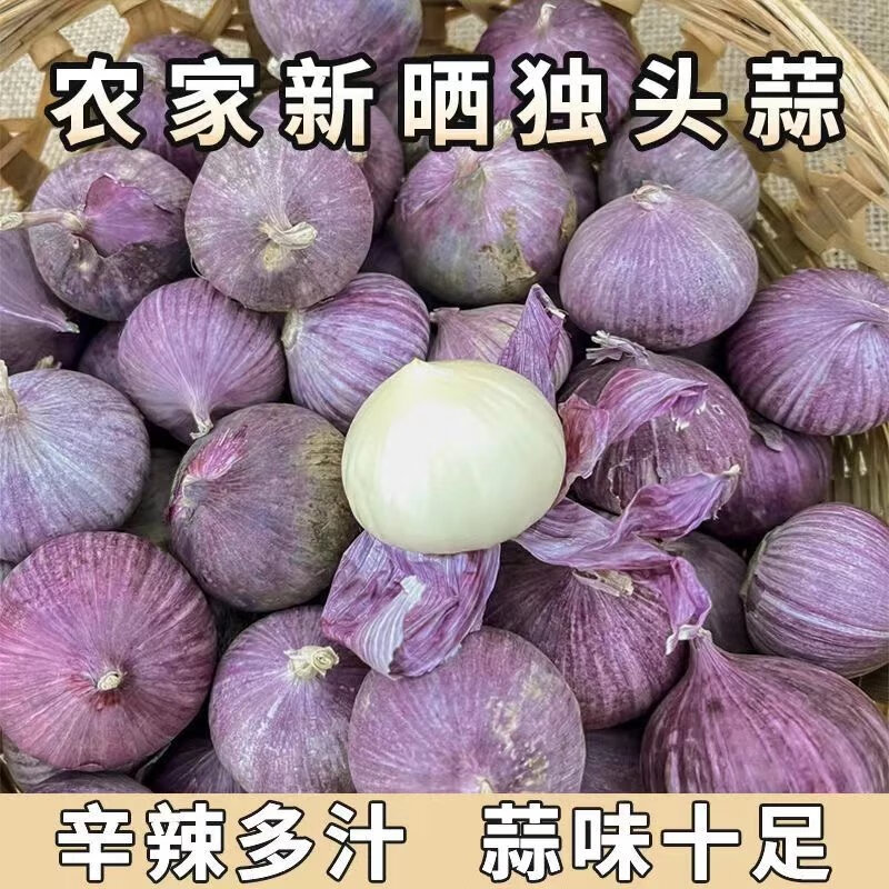 【精选现发】云南正宗独头蒜5斤紫皮蒜新鲜蔬菜独蒜头新蒜干蒜糖 500g