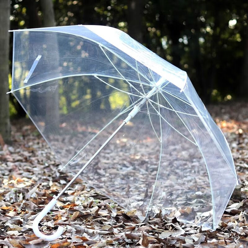 透明雨伞大号双人男女网红ins学生折叠长柄简约儿童雨伞批发定制 透明伞2把【大号】适合2个人
