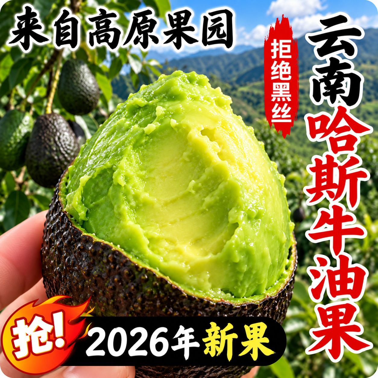 南阙【国产包熟无坏果】云南哈斯牛油果新鲜现摘水果应季孕妇宝宝辅食 单果100g-130g 6个装