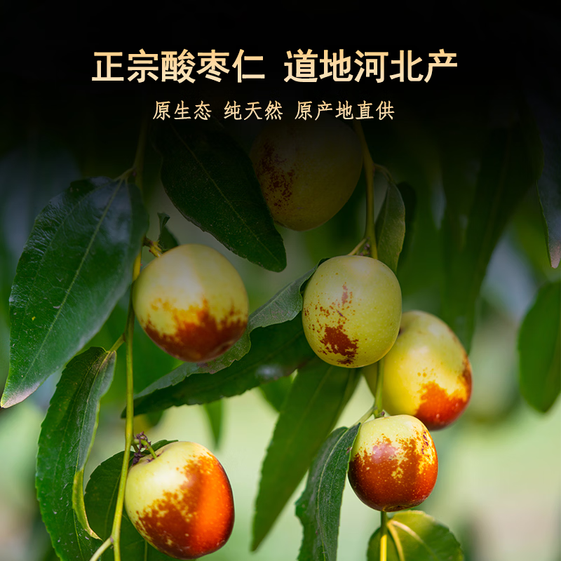 襄鹊仁酸枣仁纯粉官方正品中药材养生茶正宗内丘酸枣仁炒熟特纯 250g*1罐