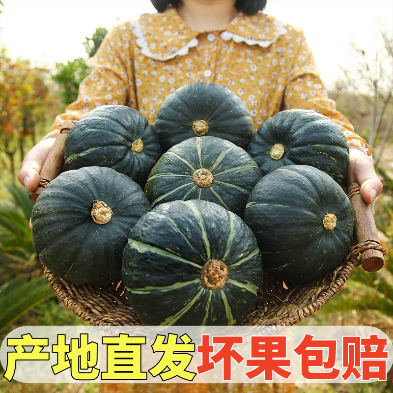 黄六爷正宗甘肃贝贝南瓜当季新鲜惠和一号板栗味蔬菜宝宝辅食粉甜产地发 3-9个 4.5斤 精选好果