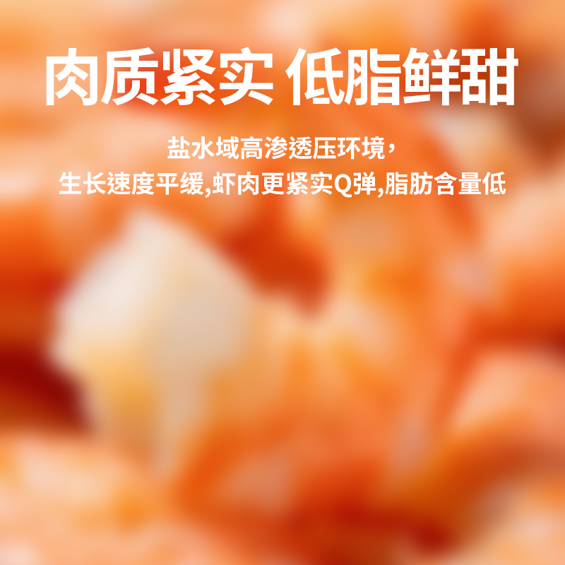 蜜蜂岛【有机熟虾 大规格盐田虾】26年捕捞季新虾熟冻 渤海水产白对虾 量贩 45-50只/斤 500g(净重)  袋*3（共1500g）