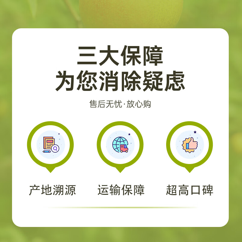 鞍山南果梨礼盒南国梨香水梨阳面果东北特产新鲜水果产地直发 家庭装 黄南果净果4.5斤（40枚小果）