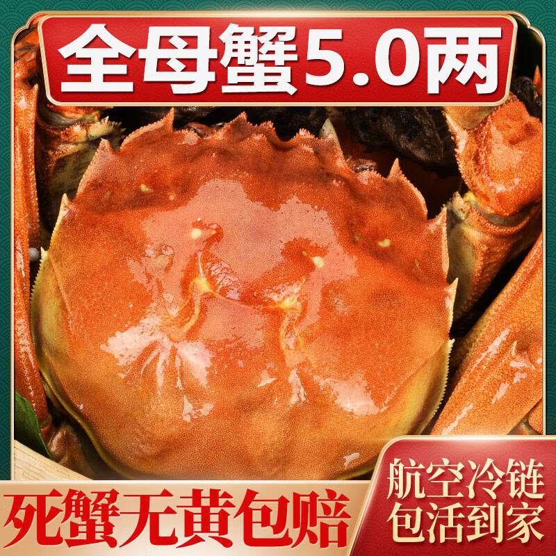 【活蟹】洪泽湖大闸蟹鲜活螃蟹母3.5-3.8公4.0-4.3两6对12只批发 全母【2.5-2.8两】10只