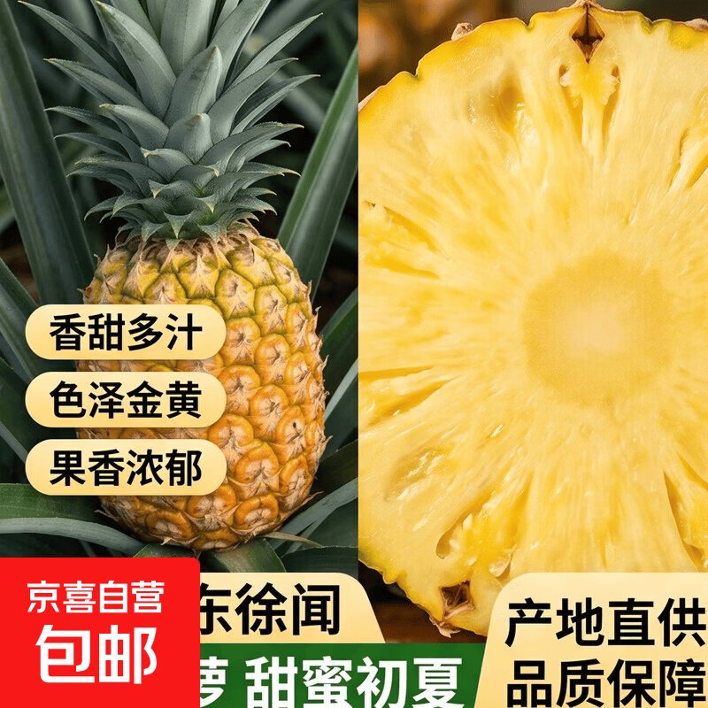 【不管青黄收到可即食】徐闻香水菠萝 又香又甜 当季水果 菠萝 1个装-单果650g-净重1.3-1.8斤