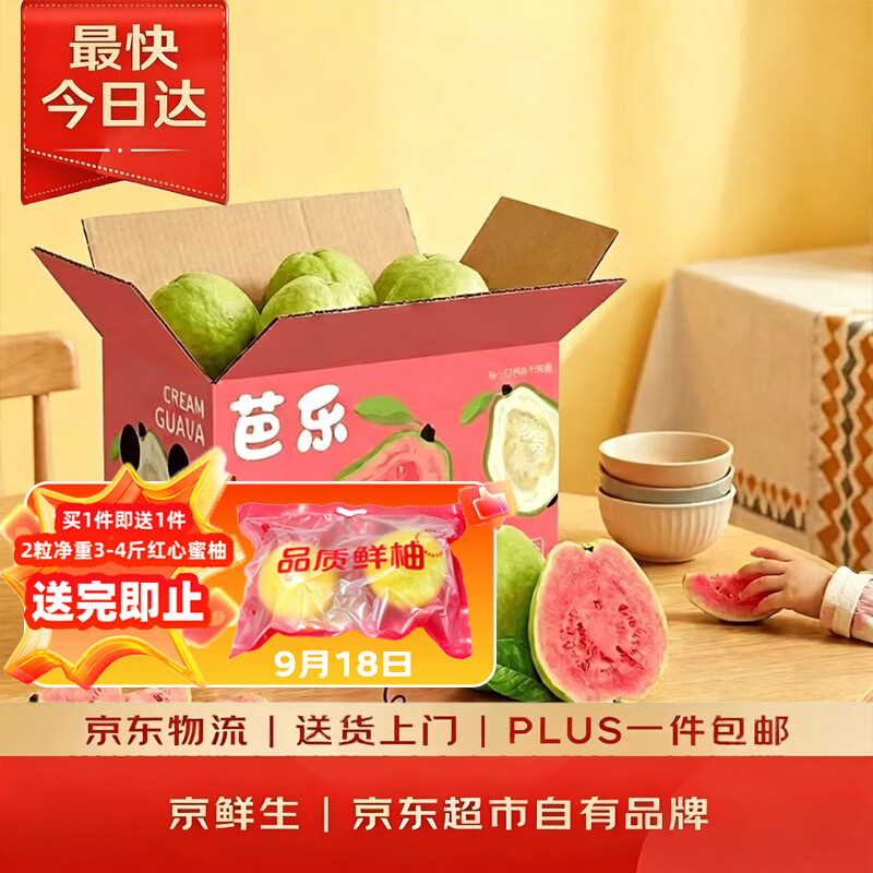 京鲜生红心珍珠芭乐/番石榴 净重3斤 单果200g+ 生鲜中秋水果礼盒 仅39.9元 京鲜生红心珍珠芭乐/番石榴 净重3斤 单果200g+ 生鲜中秋水果礼盒 仅39.9元