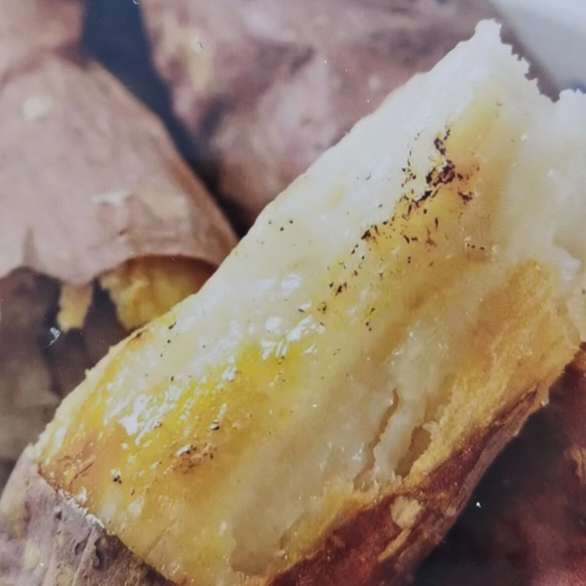 【哈密冰糖薯】正宗哈密红薯地瓜白心干粉香甜红薯蜜薯生鲜地瓜 中薯3-6两(好蒸好烤干粉香甜白心红薯) 重量4斤装净重