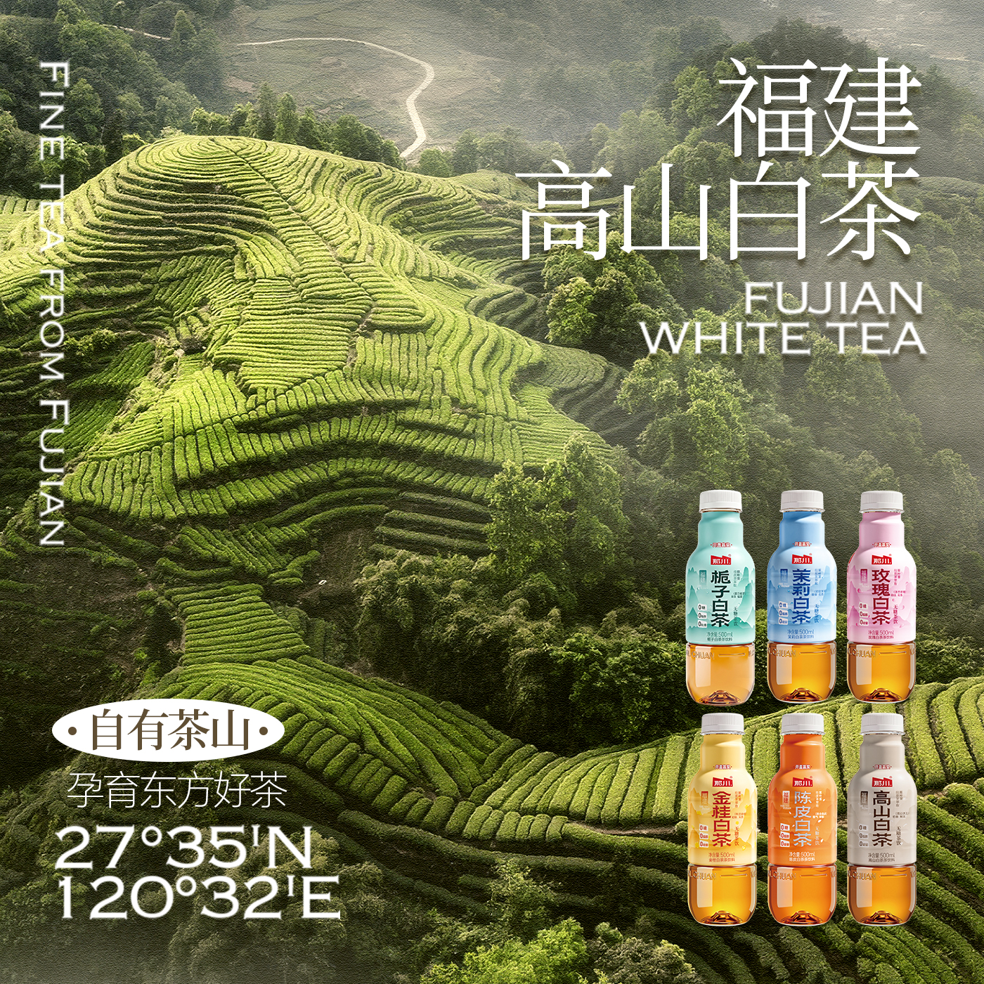 那川高山茉莉玫瑰白茶乌龙青柑普洱无糖茶 纯茶解渴饮料500*15瓶整箱 多口味 高山3+茉莉3+栀子3+金桂2+玫瑰2+陈皮2