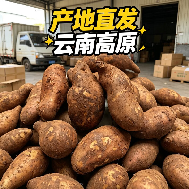 正宗云南天山雪莲果新鲜应季低糖水果脆甜多汁整箱批发 优选1斤中小果试吃装(单果100克以上)