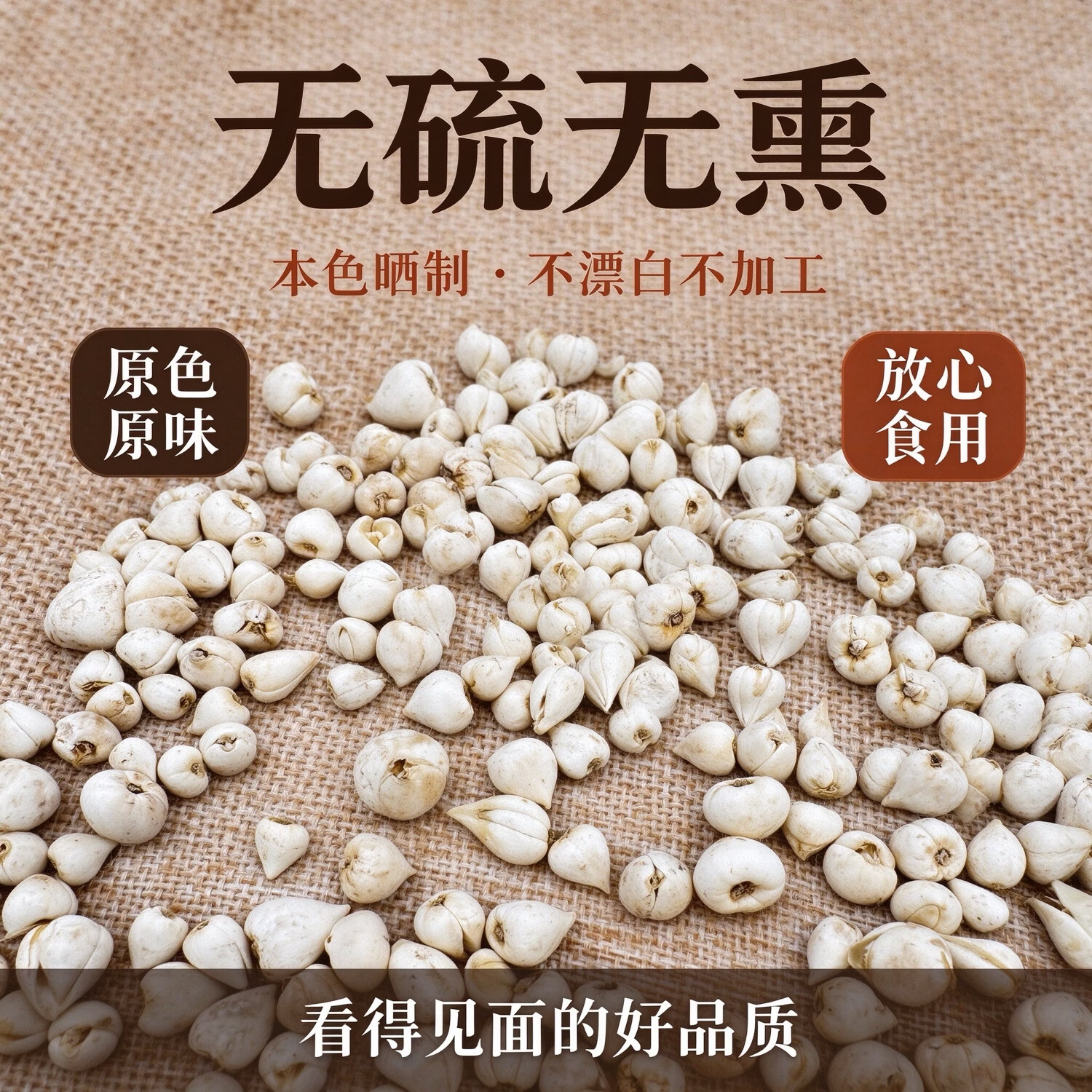 西藏特产野生藏贝母西藏林芝超川贝松贝母中药材50克新货批发 藏贝母打粉500克 500g*1瓶