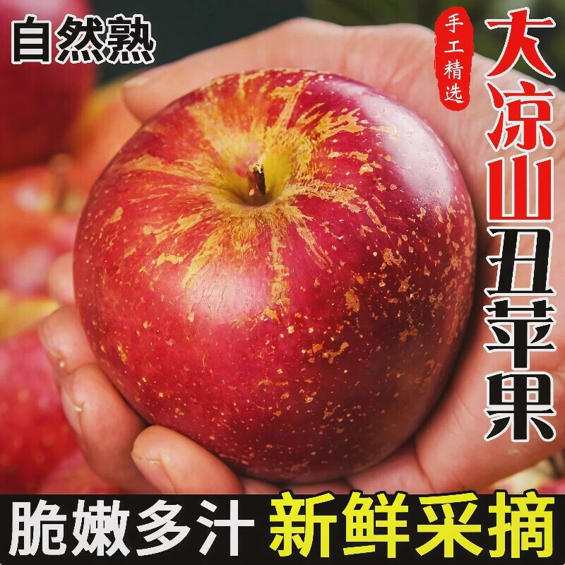 鑫果伴正宗大凉山高原丑苹果脆甜当季新鲜水果盐源红富士冰糖心 净重4斤单果60mm+ 京东折扣/优惠券