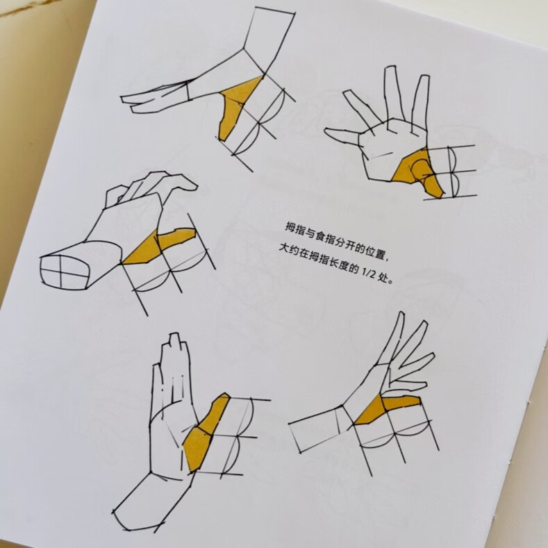 首发】人体结构绘画重点2·多视角动态篇 画画  绘画技巧 绘画诀窍 美术生  崔喜元 TACO 可平摊 赠品版已售罄不加印】人体结构绘画重点2