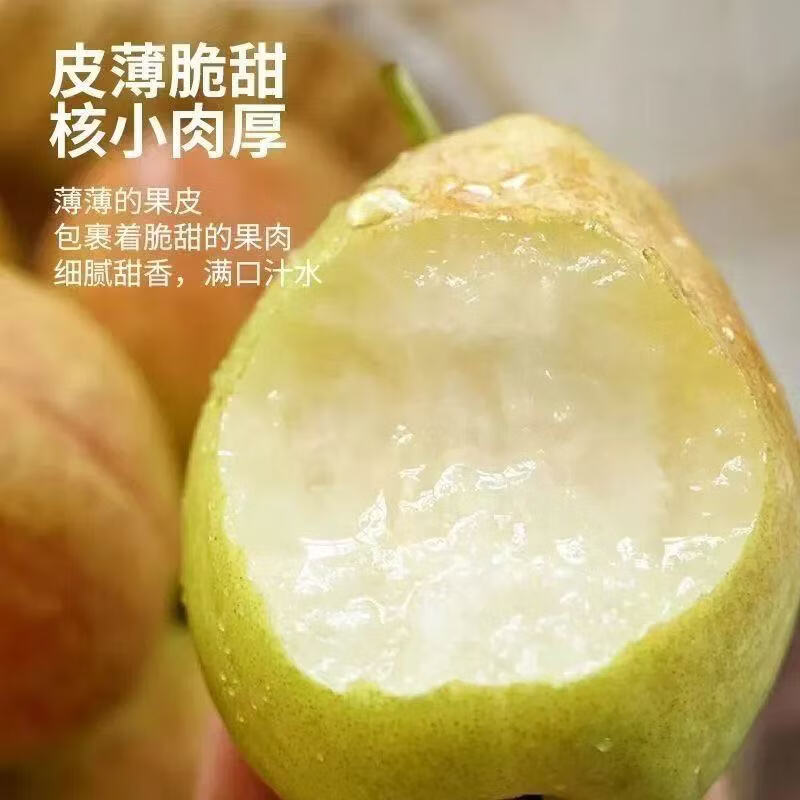 亨泰丰源小香梨酥梨新鲜应季当季水果皮薄汁水多现摘新疆库尔勒地区产梨子 净重4.5斤小香梨