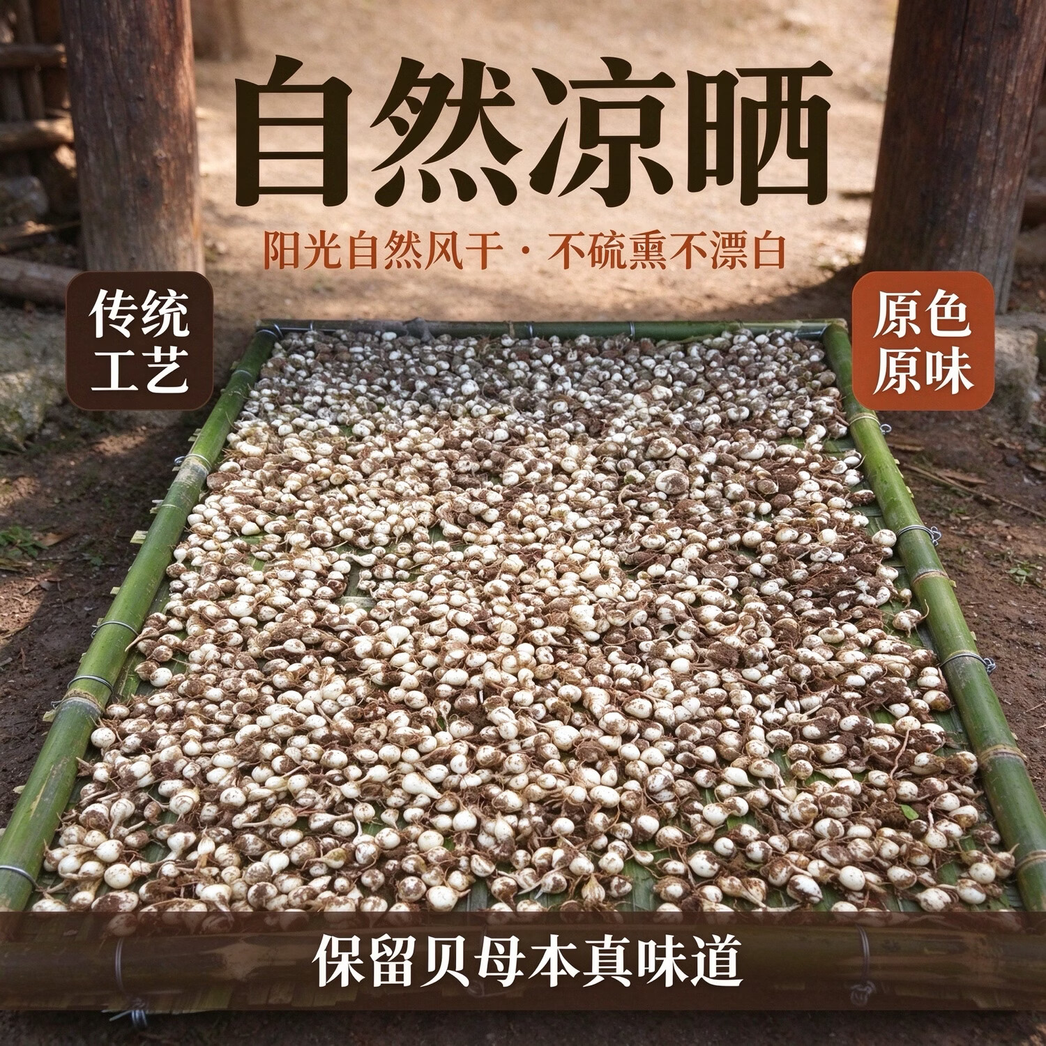 西藏特产野生藏贝母西藏林芝超川贝松贝母中药材50克新货批发 藏贝母打粉500克 500g*1瓶