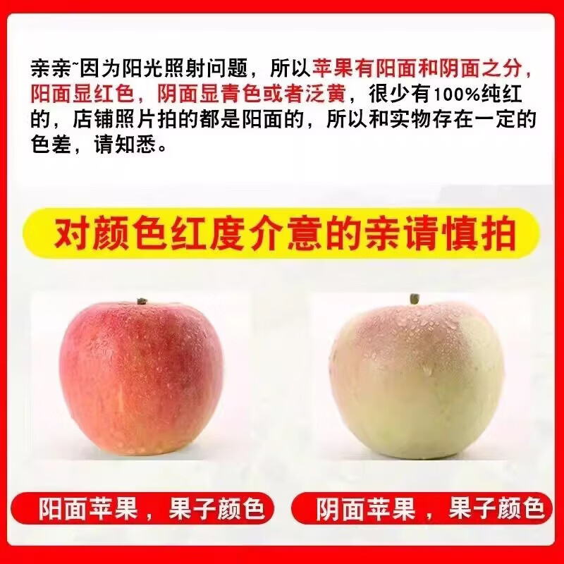 东鲜丰陕西红富士苹果新鲜膜袋苹果现摘现发水果整箱 红富士苹果净重4.5斤【单果70-80mm】