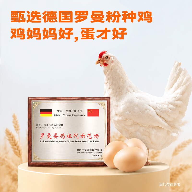 图 5
