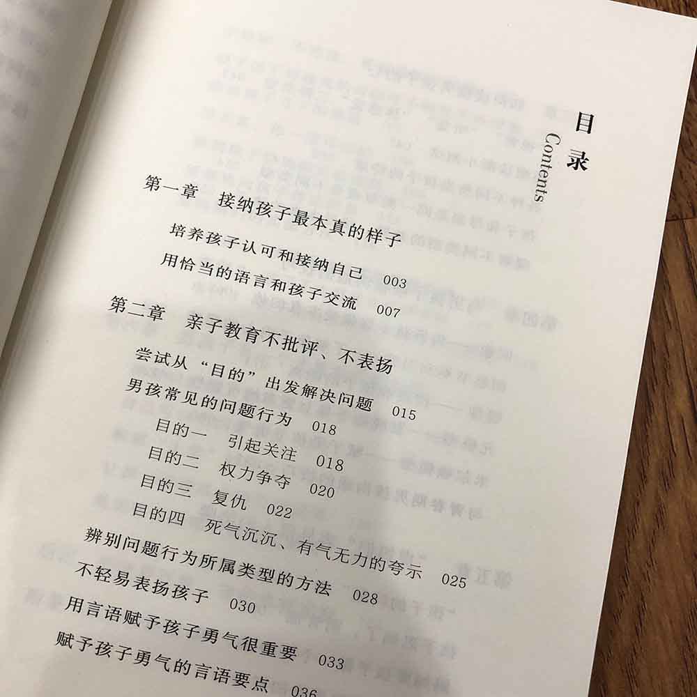 养育男孩：影响孩子一生的亲子沟通法详情图